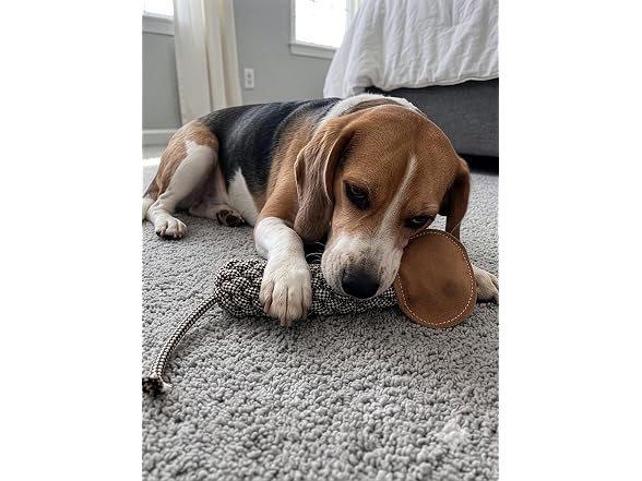 SPOT Dura-Fused Colors Leather Bottle Cruncher Sloth Dog Toy