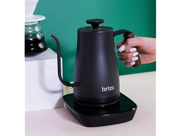 brim Temperature Control Electric Kettle