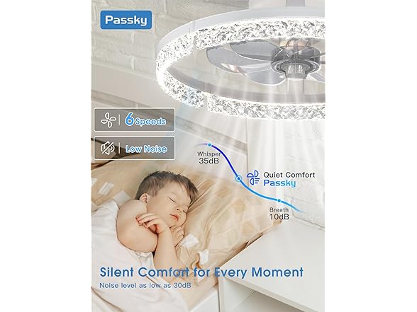 Passky 20” Low Profile Ceiling Fan with Lights and Remote