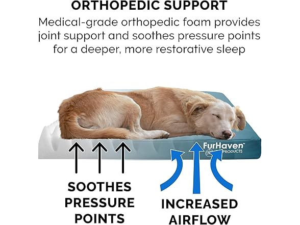 Furhaven Water-Resistant Orthopedic Dog