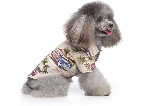 Tangpan Summer Pet Daisy Hawaiian Beach Plai