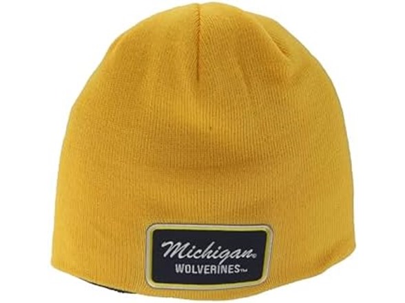 Michigan Wolverines / Secondary Color