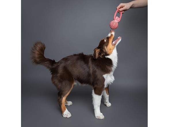 NOAH & PAW Luxury Dog Toy, TPU- Tug Ball, Pink
