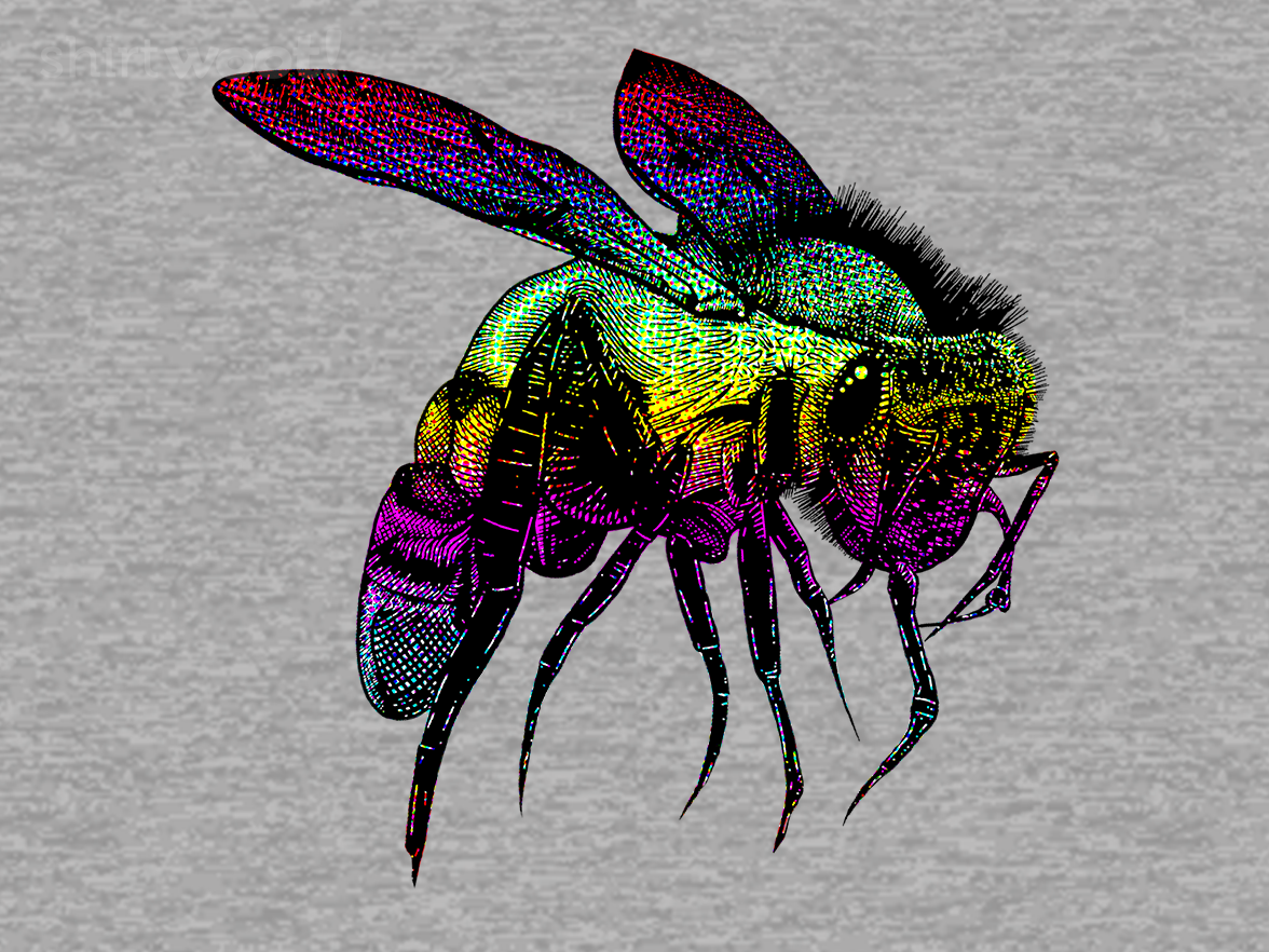 Color Bee - Gallery 4