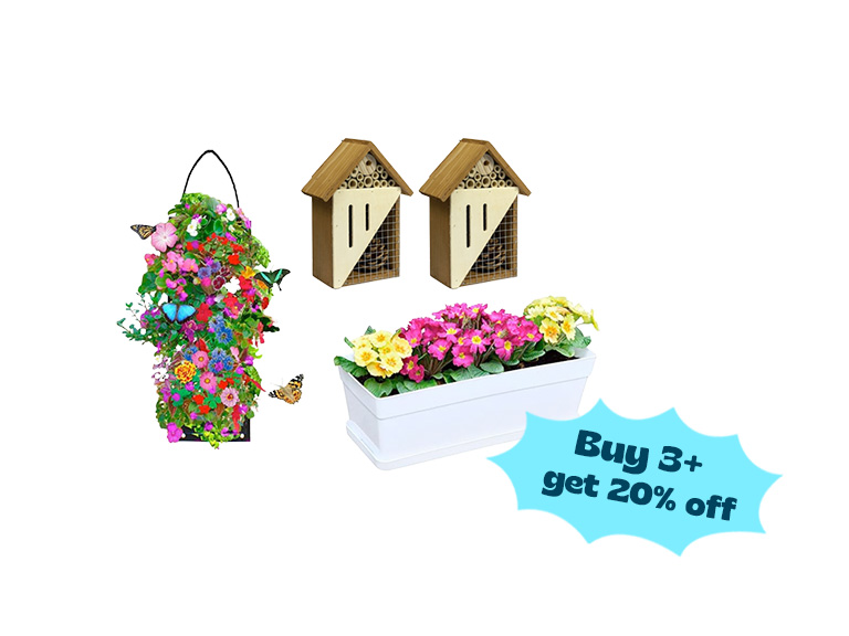 Spring Gardening - Gallery 2