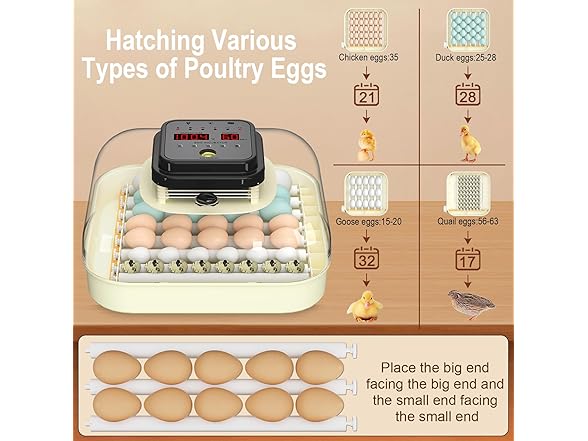 CoInceptus 35 Eggs Incubators