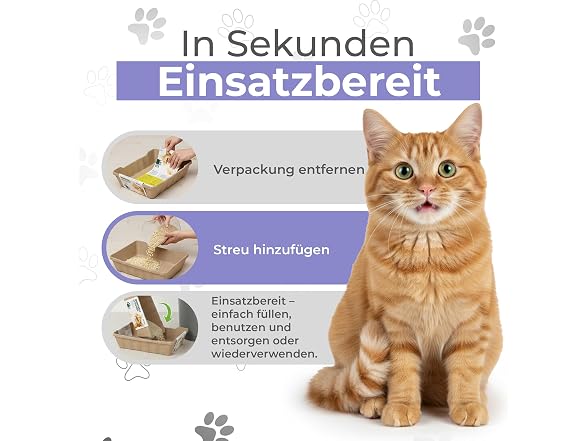 Eco Pet Box Disposable Litter Box 3 ct