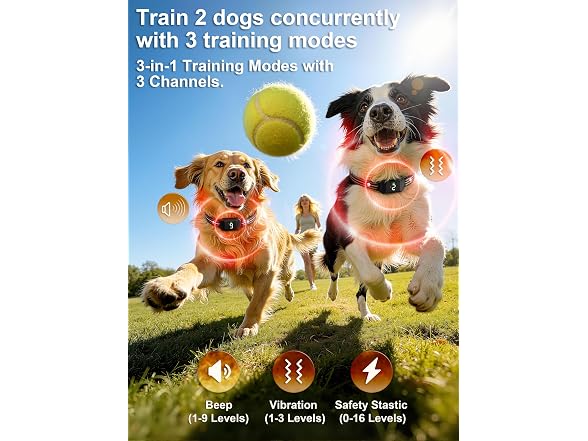 Small Shock Collar for 2 Small Dogs(5-30Lb),