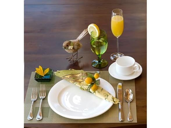 Fortessa 16pc White Dinnerware Set