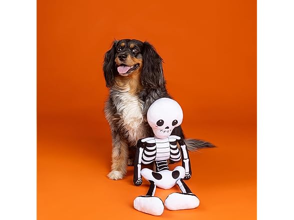 Fringe Studio Pet Toy, Bone to BE Wild