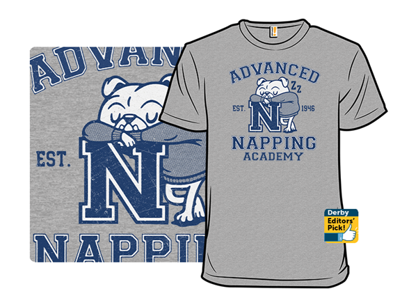 Advanced Napping Academy