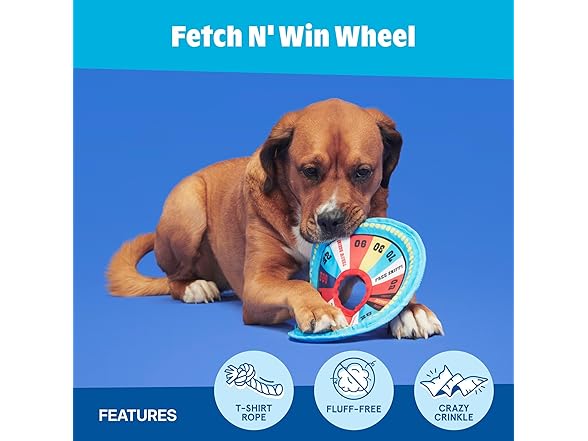 Barkbox Fetch N' Win Wheel Dog Toy | Fluff
