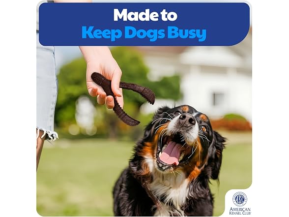 AKC 2 Pack Training Dog Chew Toy, Wood Infused - Gallery 5
