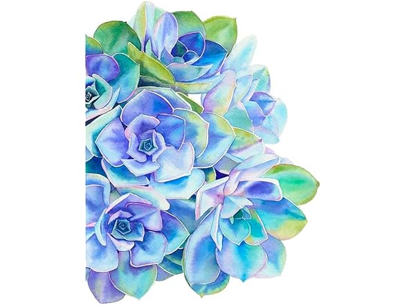 Blue Succulent Plant