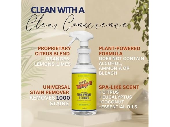 THE AMAZING WHIP-IT Cleaner