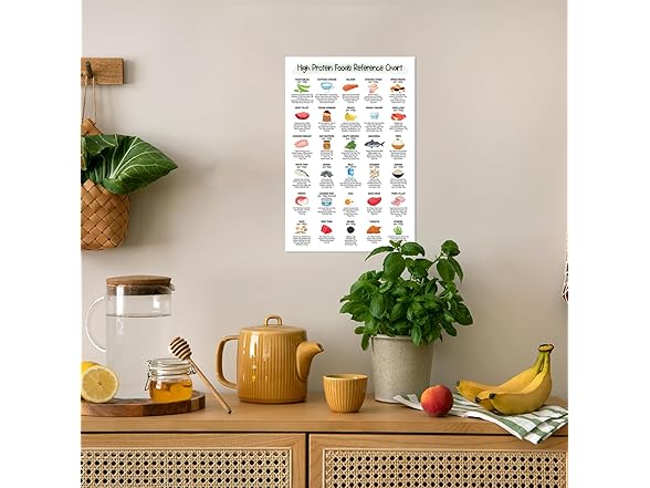 Generic 16x24 High Protein Food Reference