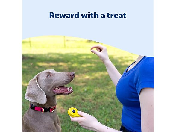 PetSafe Clik-R Training Tool Clicker Trainer