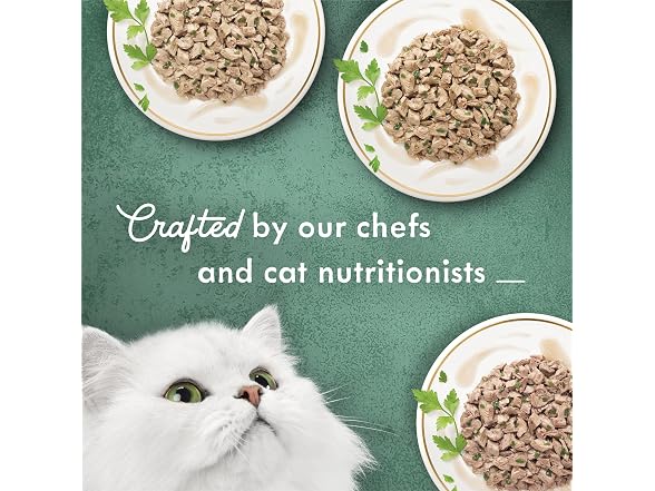 12Pk Purina Fancy Feast Wet Cat Food Medleys