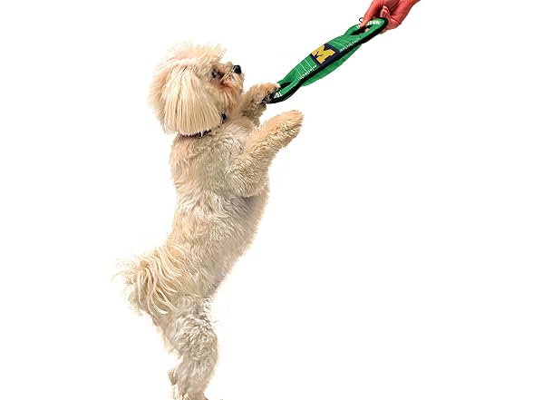 NCAA Football Field Dog Toy with Squeaker Michigan Wolverines