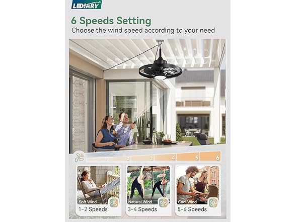 LEDIARY Outdoor Ceiling Fans with Light