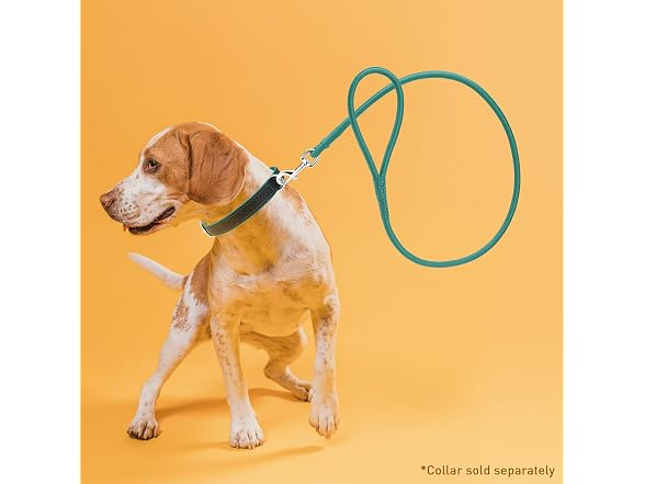 Dogline Rolled Leather Dog Leash - for Small