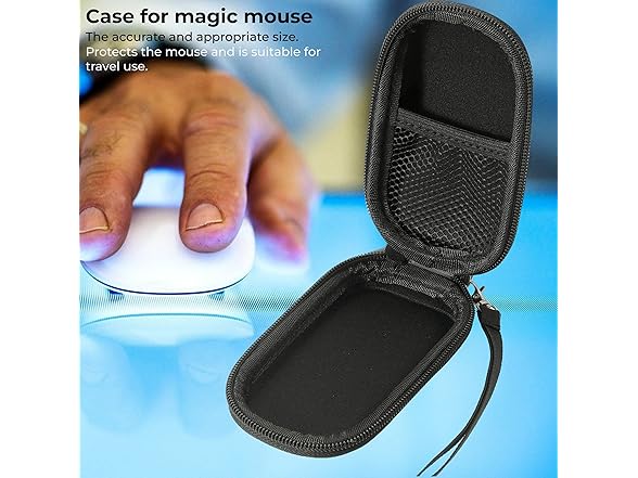 SoleKing Hard Storage Carrying Case Bag