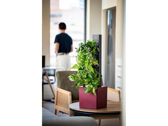 Tevagrow Tevatower Mini Smart Self-Watering