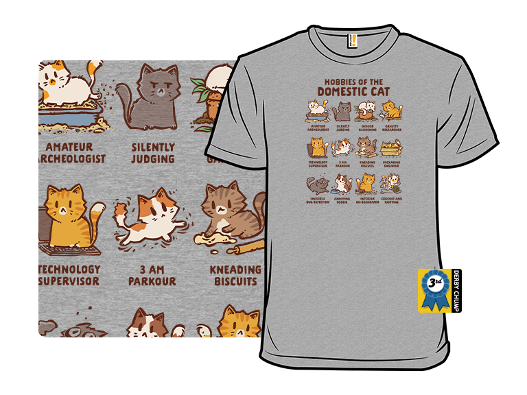 Cat Hobbies - Gallery 8