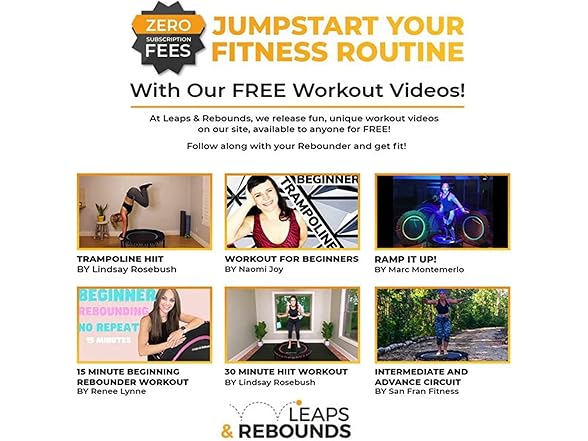 Leaps & Rebounds Bungee Rebounder V2
