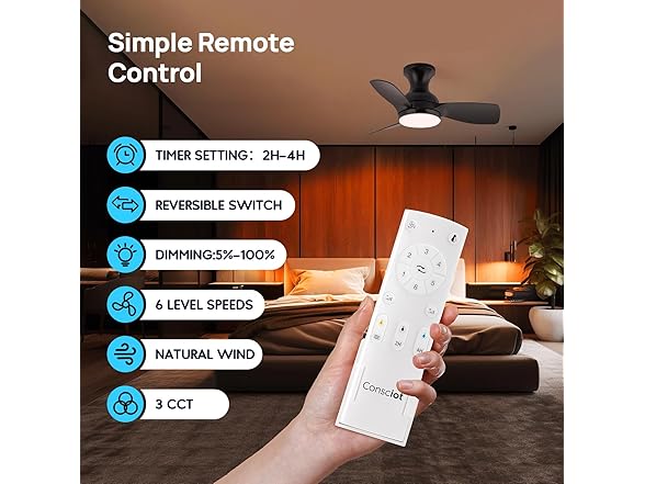 Consciot Ceiling Fan With Lights 30 Inch, Black