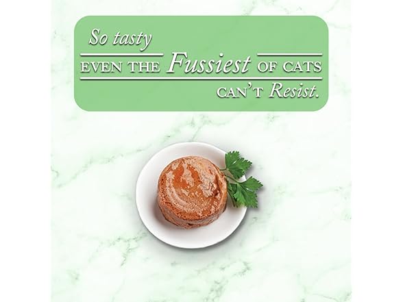 Fussie Cat Fine Dining Pate Oceanfish Entrée