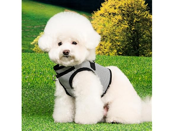 Puppia Puppia Amatus Dog Vest Harness B