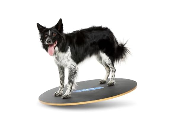 FitPAWS Wobble Board - Dog Balance Training E