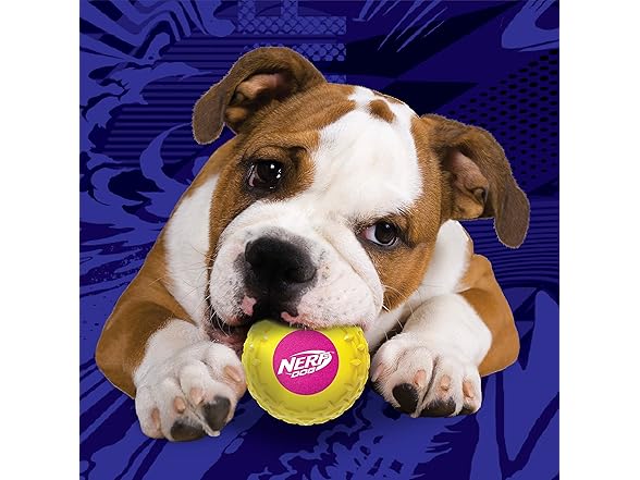 Nerf Dog 2.5in Squeak Armor Tennis Ball Dog Toys