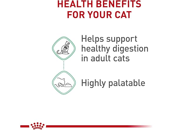 24Pk Royal Canin Feline Care Nutrition Digestive