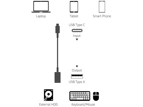 Amazon Basics USB-C to USB-A Adapter Cable