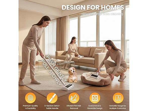 Pet Hair Remover for Carpet