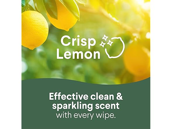 Clorox Clorox Wipes Value Pack, 105ct