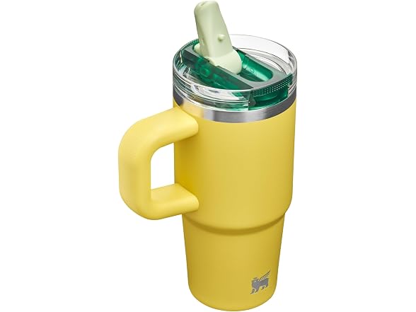 STANLEY 14 oz Quencher ProTour, Daffodil Emerald