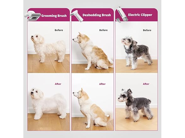 PETKIT Pet Grooming & Dog Hair Vacuum Kit