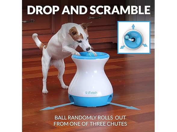 iFetch Frenzy Interactive Dog Toy