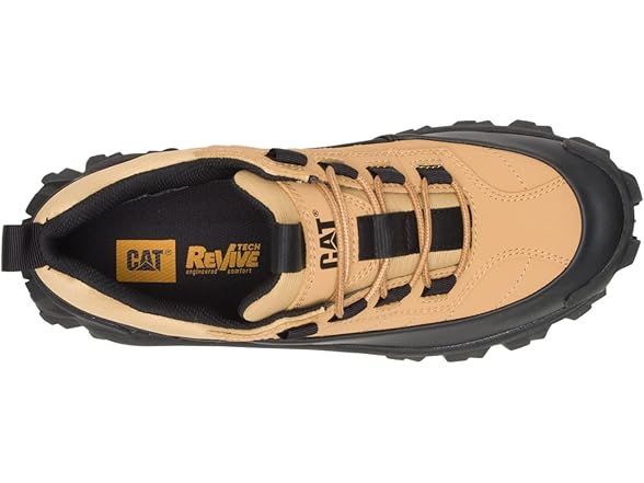 Cat Intruder Galosh Waterproof Men's Shoes