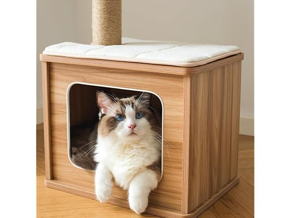 Catry 30" High Cat Play House Condoo with Cat Perch