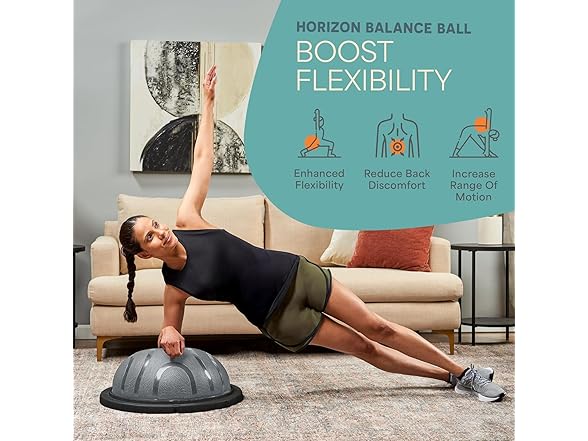 Lifepro Horizon Balance Ball Trainer - Silver