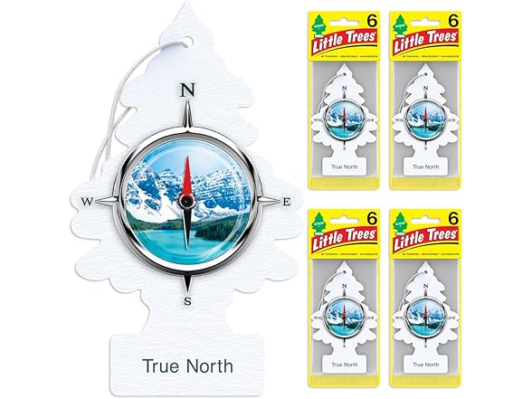 LITTLE TREES Car Air Freshener, 24 Count