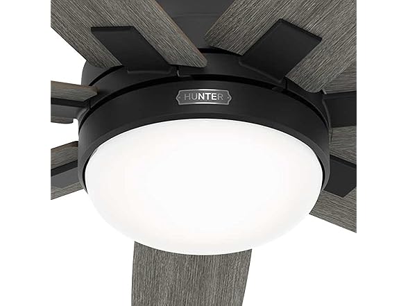 Hunter Fan 60" w/ Light Kit and 7-Blades