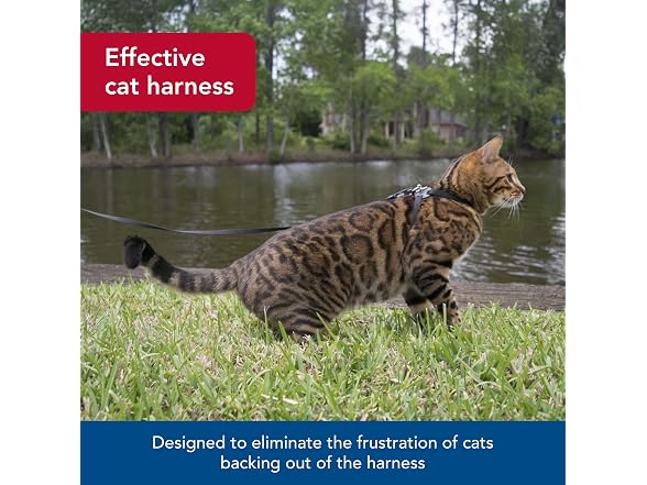 Coastal Pet Size Right Snag-Proof Adjustable