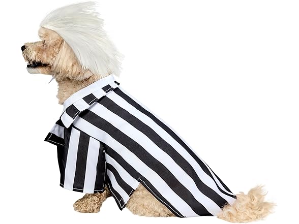 Beetlejuice Pet Costume, Size L or XL