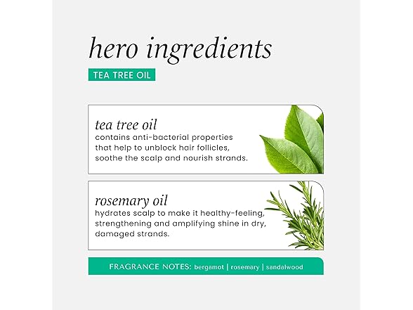 HASK Tea Tree & Rosemary Oil Scalp Care Shampoo - 12 fl oz