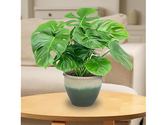 Sunnydaze Round Ceramic Planter - Set of 2